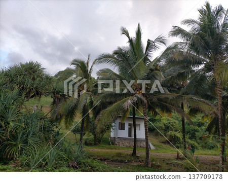 Great hostel in good sunset Great hostel in good sunset 137709178