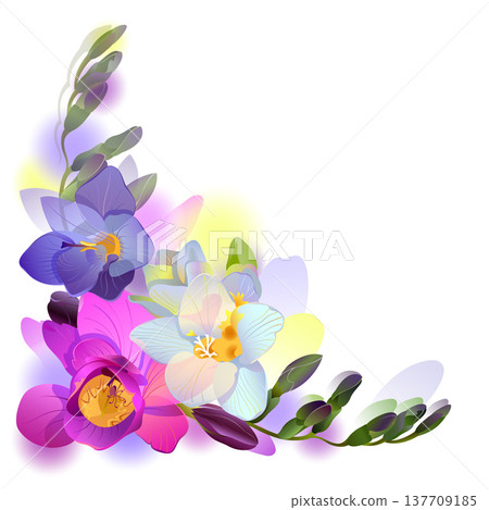 Greeting background with freesia flowers Greeting background with freesia flowers 137709185