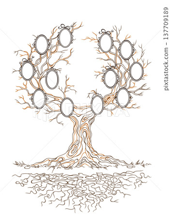 Vector graphic genealogical branchy tree Vector graphic genealogical branchy tree 137709189