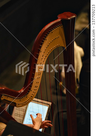 Harp musician playing strings during classical concert performance Harp musician playing strings during classical concert performance 137709213