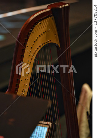 Close view of wooden harp strings in concert hall setting Close view of wooden harp strings in concert hall setting 137709214