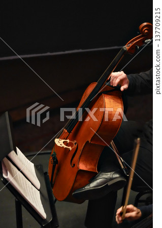 Cello musician performing on stage in vertical close view Cello musician performing on stage in vertical close view 137709215