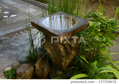 Nara-machi Nigiwai no Ie (House of Lively Interaction), Garden Water Basin, Nakashin'ya-cho, Nara City 137709678