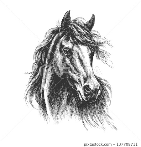 Western Horse Head Vintage Engraved Vector Illustration Cowboy Ranch Symbol 137709711