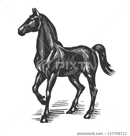 Cowboy Ranch Horse Illustration Western Farm Animal Rustic Vector 137709712