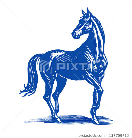 Western Horse Illustration Rustic Ranch Cowboy Animal Folk Style Vector 137709713