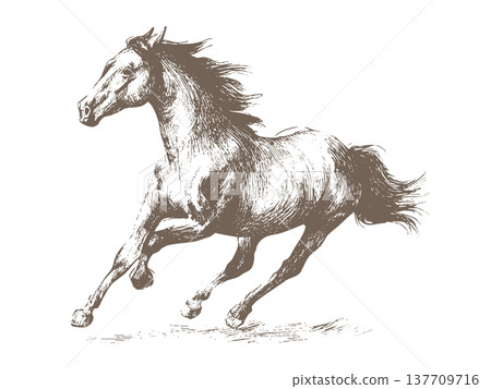 Running Horse Western Vintage Ink Sketch Vector Illustration Cowboy Ranch Running Horse Western Vintage Ink Sketch Vector Illustration Cowboy Ranch 137709716