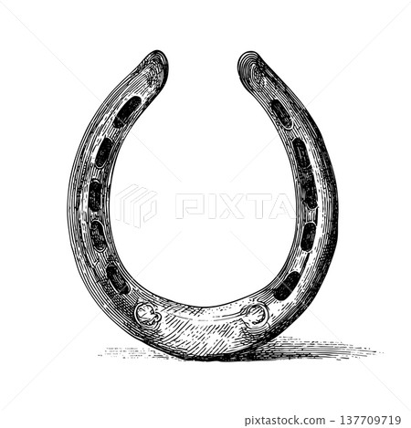 Horseshoe Western Vintage Engraved Vector Illustration Cowboy Ranch Symbol Horseshoe Western Vintage Engraved Vector Illustration Cowboy Ranch Symbol 137709719