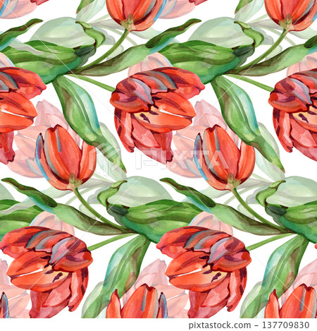Hand-painted watercolor seamless pattern featuring rows of red tulips and green leaves. This elegant botanical design with soft textures is ideal for spring textiles, floral wallpapers, and romantic Hand-painted watercolor seamless pattern featuring rows of red tulips and green leaves. This elegant botanical design with soft textures is ideal for spring textiles, floral wallpapers, and romantic 137709830