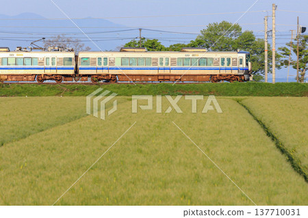 JR列車行駛在綠油油的麥田間，展現出鄉村美景。 137710031
