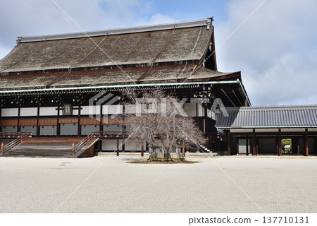 Shishinden Hall, Kyoto Imperial Palace (Kamigyo Ward, Kyoto City) Shishinden Hall, Kyoto Imperial Palace (Kamigyo Ward, Kyoto City) 137710131