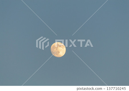 Full moon in clear blue sky with copy space 137710245