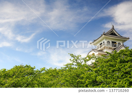 在春意盎然的鬱鬱蔥蔥景色中，長濱城在藍天的襯托下顯得格外醒目。 137710260