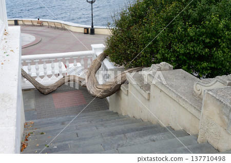 A bridge with a stone archway and a dragon carving on it. A bridge with a stone archway and a dragon carving on it. 137710498