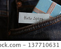 Hello spring hand lettering text. 137710631