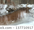 winding forest river emerged from under the ice 137710917