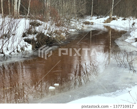 winding forest river emerged from under the ice 137710917
