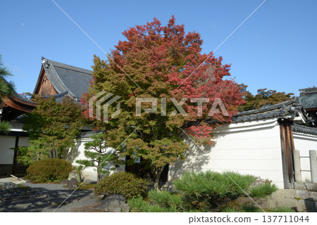 京都市上京區新町通鞍馬口相輕妙覺寺正殿 京都市上京區新町通鞍馬口相輕妙覺寺正殿 137711044