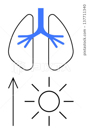 Health awareness, pulmonary wellness, oxygen intake, respiratory system, fresh air, vitality. ion of lungs with sun and arrow up. Focus on health awareness and pulmonary wellness 137711340