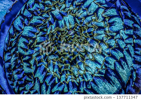 Colorful abstract organic texture background with floral pattern. Colorful abstract organic texture background with floral pattern. 137711347