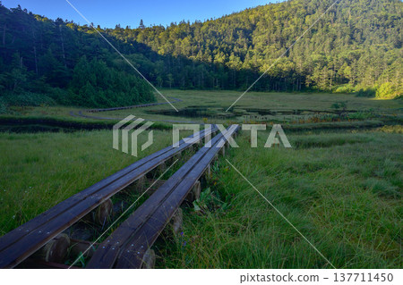 九月，志賀高原，四重八池濕地：晨曦灑在森林和濕地上。 137711450