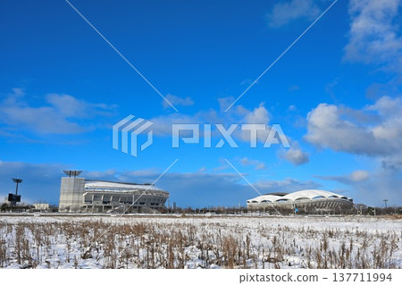 白雪皚皚的大天鵝體育場（新潟市，新潟縣） 137711994