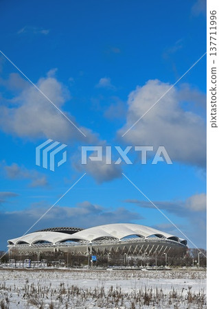 白雪皚皚的大天鵝體育場（新潟市，新潟縣） 137711996