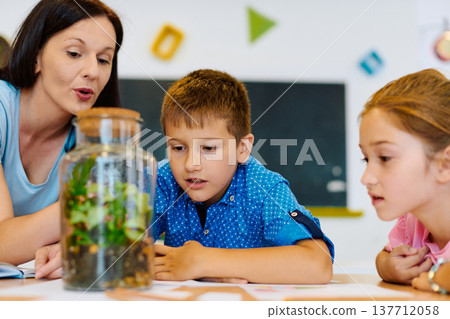 Teacher and children observing a classroom terrarium science experiment during hands-on learning activity Teacher and children observing a classroom terrarium science experiment during hands-on learning activity 137712058