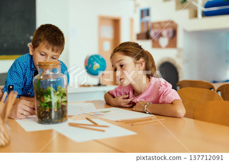 Two curious children examining a glass terrarium while drawing and learning together in a classroom Two curious children examining a glass terrarium while drawing and learning together in a classroom 137712091