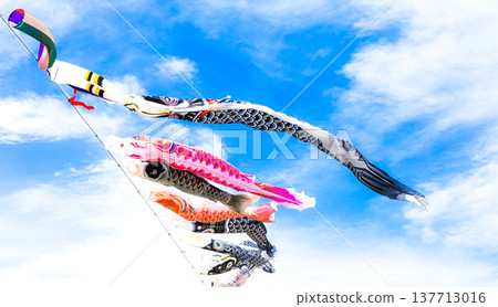 A scene of lively carp streamers swimming in the blue sky and refreshing May breeze. 137713016