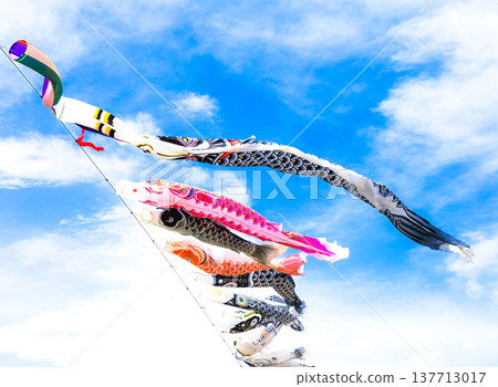 藍天白雲下，五月微風拂面，鯉魚彩帶在水中自由飄蕩，構成了一幅生動的畫面。 137713017