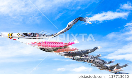 藍天白雲下，五月微風拂面，鯉魚彩帶在水中自由飄蕩，構成了一幅生動的畫面。 137713020
