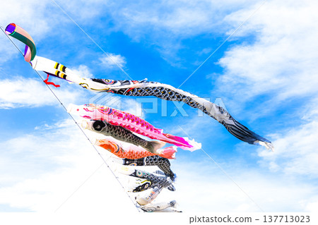 A scene of lively carp streamers swimming in the blue sky and refreshing May breeze. 137713023