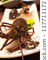 Shrimp Ise 137713172