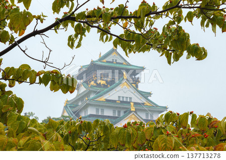Osaka, Japan - Sep 22 2024, Panoramic view of Osaka Castle among the trees, from behind the fortress wall and the foliage of the trees, on a rainy day, without people, Osaka, Japan 137713278