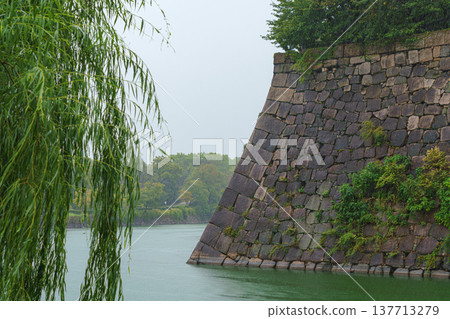 Osaka, Japan - Sep 22 2024, Panoramic view of the green trees in the park around Osaka Castle, with fortress wall on a background, on a rainy day, at daytime, Osaka, Japan 137713279