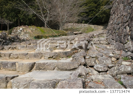 Main road of Azuchi castle ruins Main road of Azuchi castle ruins 137713474
