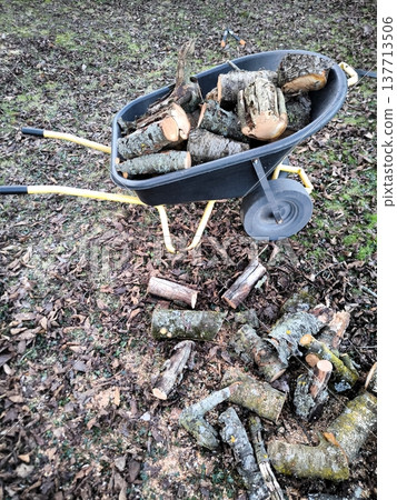 A garden wheelbarrow filled with chopped firewood lies on the grass. The remains of chopped firewood lie nearby. A garden wheelbarrow filled with chopped firewood lies on the grass. The remains of chopped firewood lie nearby. 137713506