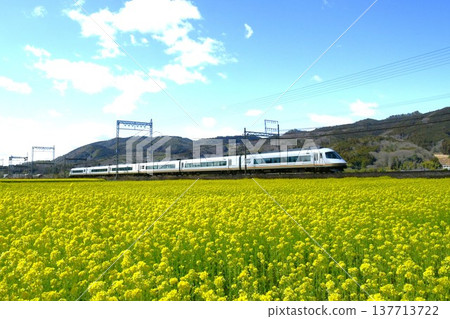 The Kintetsu Urban Liner speeds through a field of rapeseed flowers. The Kintetsu Urban Liner speeds through a field of rapeseed flowers. 137713722