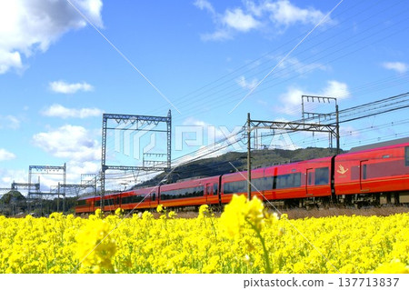 Kintetsu Limited Express Hinotori speeds through a field of rapeseed flowers. Kintetsu Limited Express Hinotori speeds through a field of rapeseed flowers. 137713837