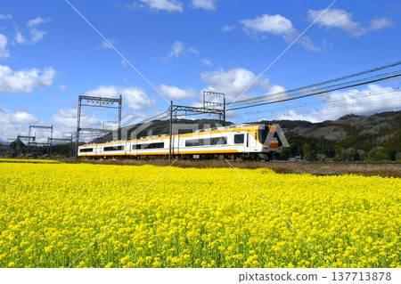 Kintetsu Limited Express Busta Car speeding through a field of rapeseed flowers. Kintetsu Limited Express Busta Car speeding through a field of rapeseed flowers. 137713878