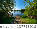 Woodland trail descending through trees toward the edge of calm water while sunlight reflects across the lake surface. 137713918
