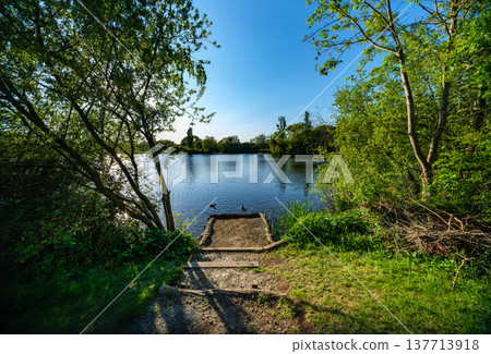 Woodland trail descending through trees toward the edge of calm water while sunlight reflects across the lake surface. 137713918