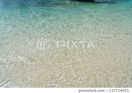 沖繩縣石垣島夏季的美麗風景 沖繩縣石垣島夏季的美麗風景 137714055