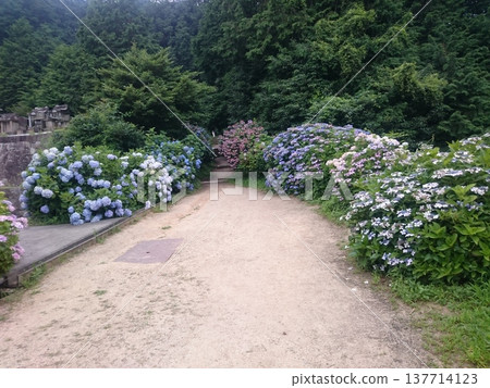 阿合神社,又稱紫陽西宮或紫陽西神社,是位於香川縣觀音寺市富士目山腳下,岩鍋池畔的神社。 阿合神社,又稱紫陽西宮或紫陽西神社,是位於香川縣觀音寺市富士目山腳下,岩鍋池畔的神社。 137714123