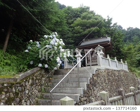 阿合神社,又稱紫陽西宮或紫陽西神社,是位於香川縣觀音寺市富士目山腳下,岩鍋池畔的神社。 阿合神社,又稱紫陽西宮或紫陽西神社,是位於香川縣觀音寺市富士目山腳下,岩鍋池畔的神社。 137714160