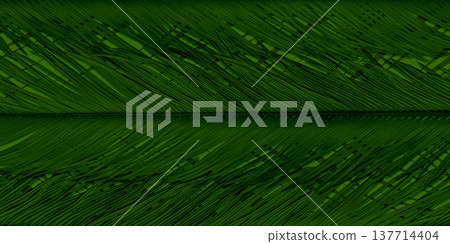 The beautiful form of the cycad leaves evokes a tropical image. 137714404