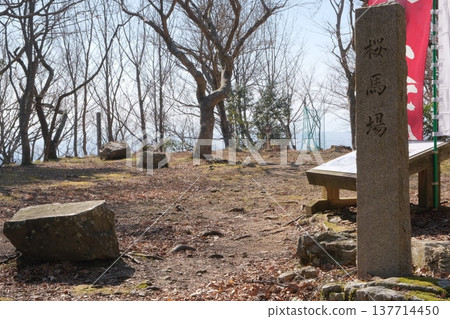 Sakurababa at the site of Odani Castle 137714450