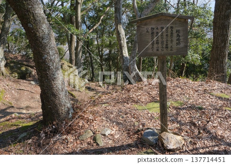 小谷城遺址的櫻場 小谷城遺址的櫻場 137714451