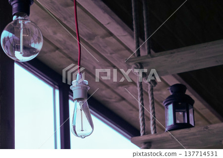 Vintage light bulbs suspended from a wire. Hanging retro incandescent lamps.  closeup of photo          137714531